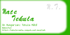 mate tekula business card